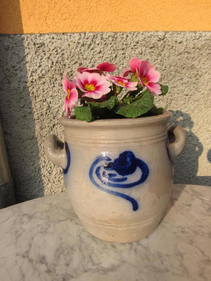 Gite Le Vigneron Donnenheim 外观 照片